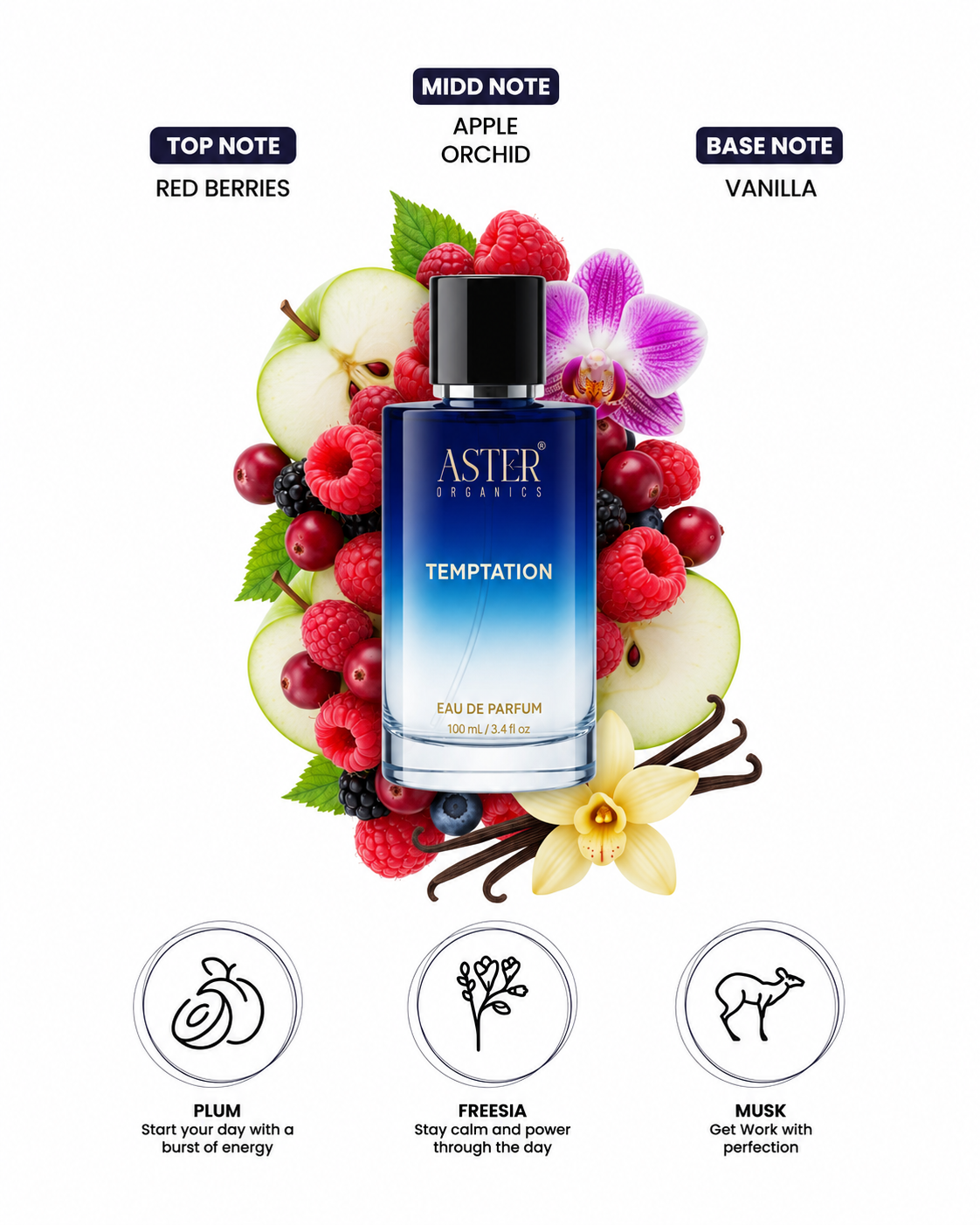 Temptation EDP for Unisex 100ml