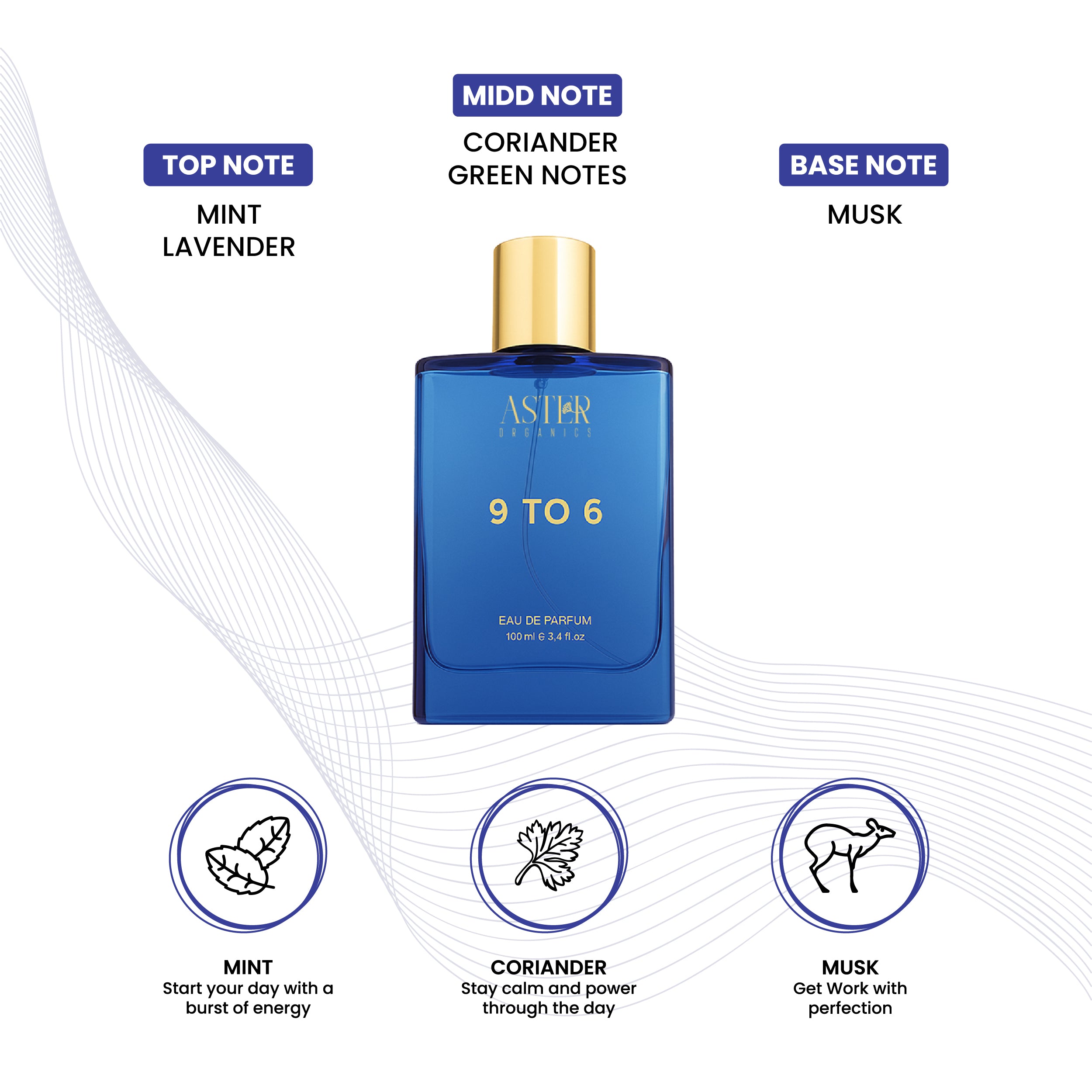 9 To 6 EDP for Men 100ml