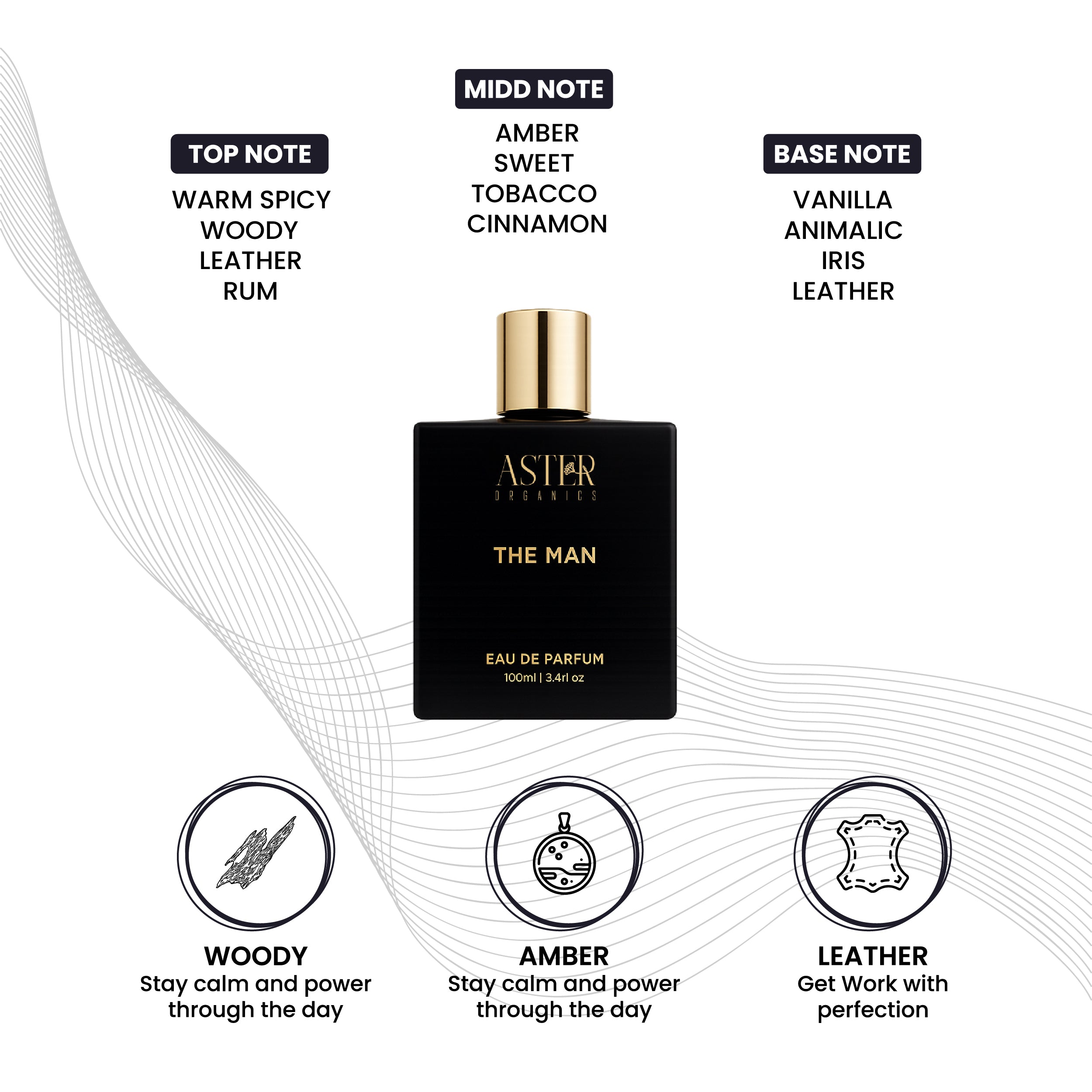 The Man EDP for Men 100ml