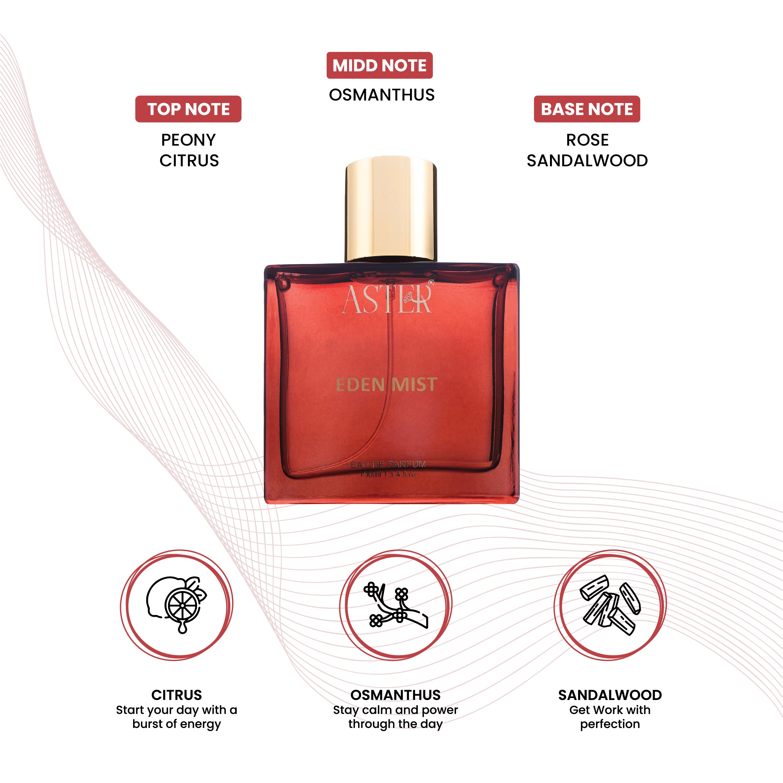 Eden Mist EDP for Men 100ml
