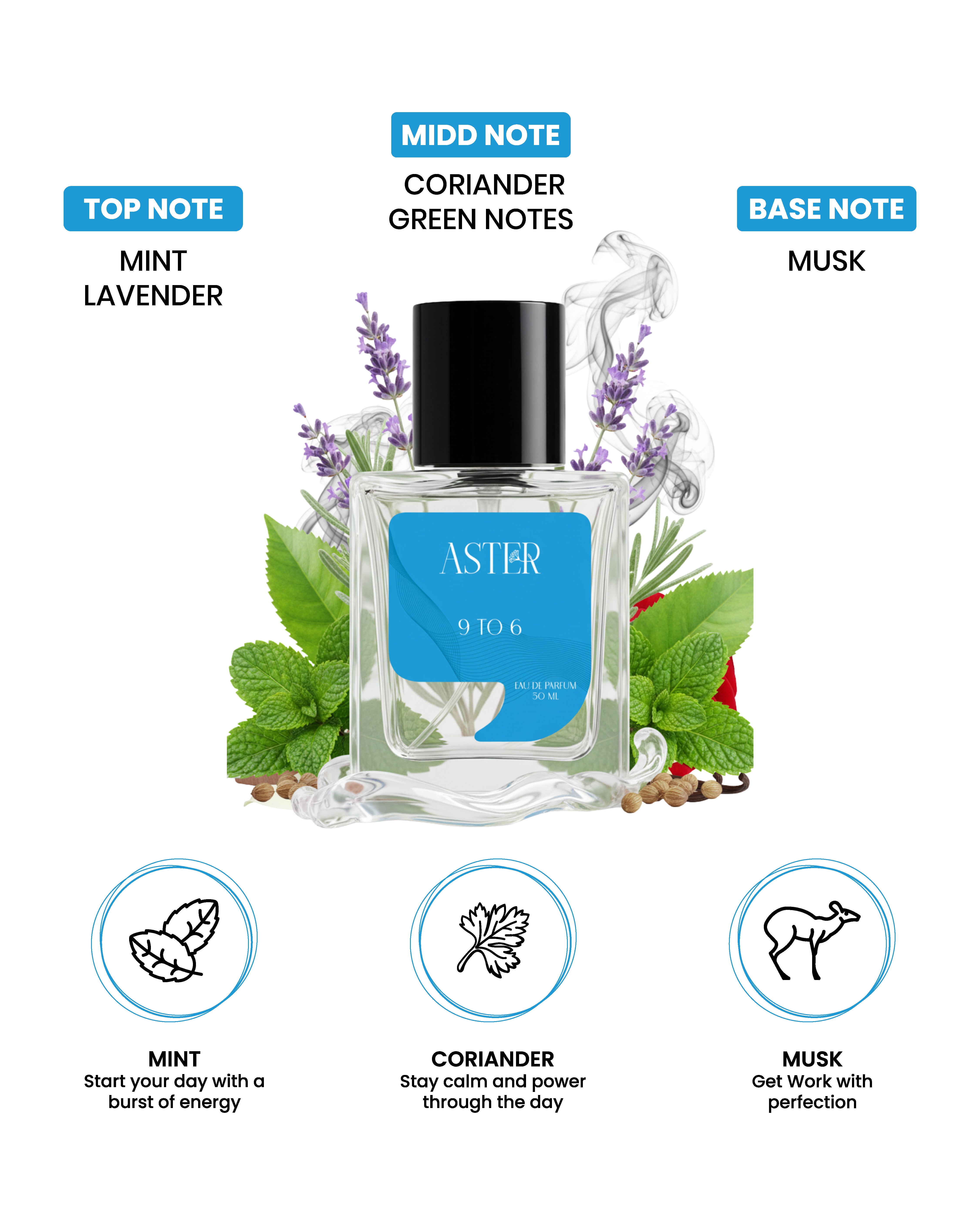 9 To 6 EDP for Men 50ml