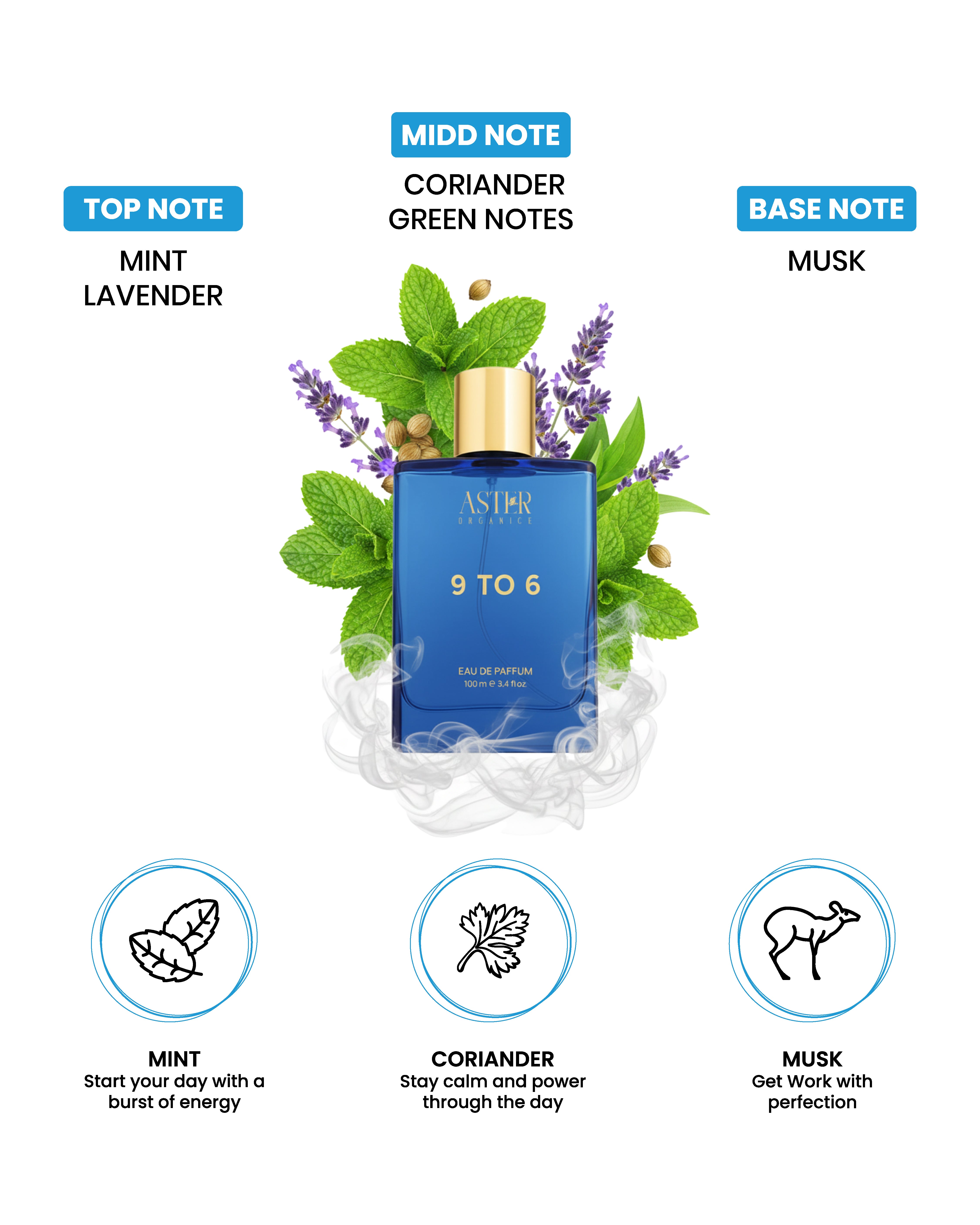 9 To 6 EDP for Men 100ml bottle