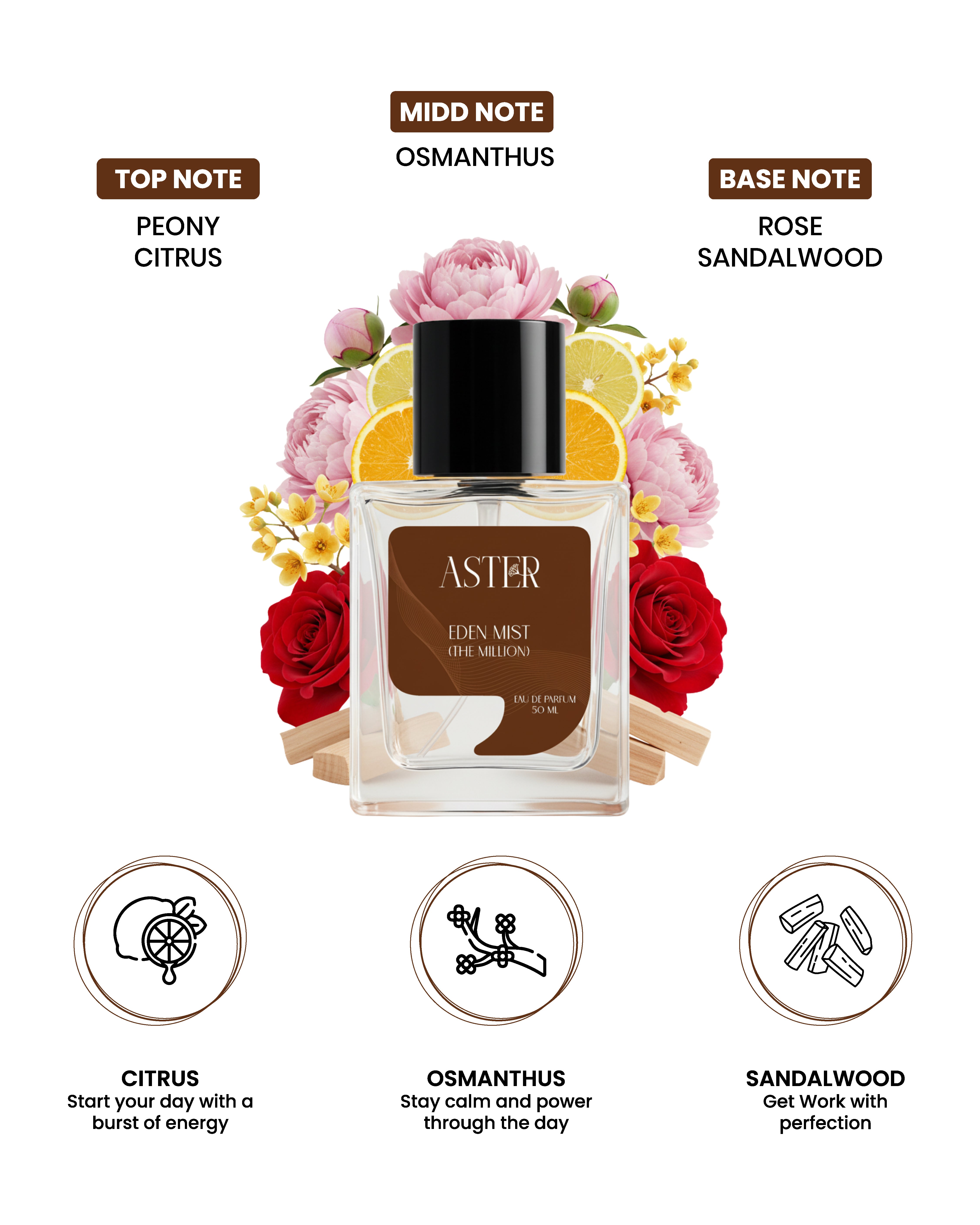 Eden Mist EDP for Men 50ml