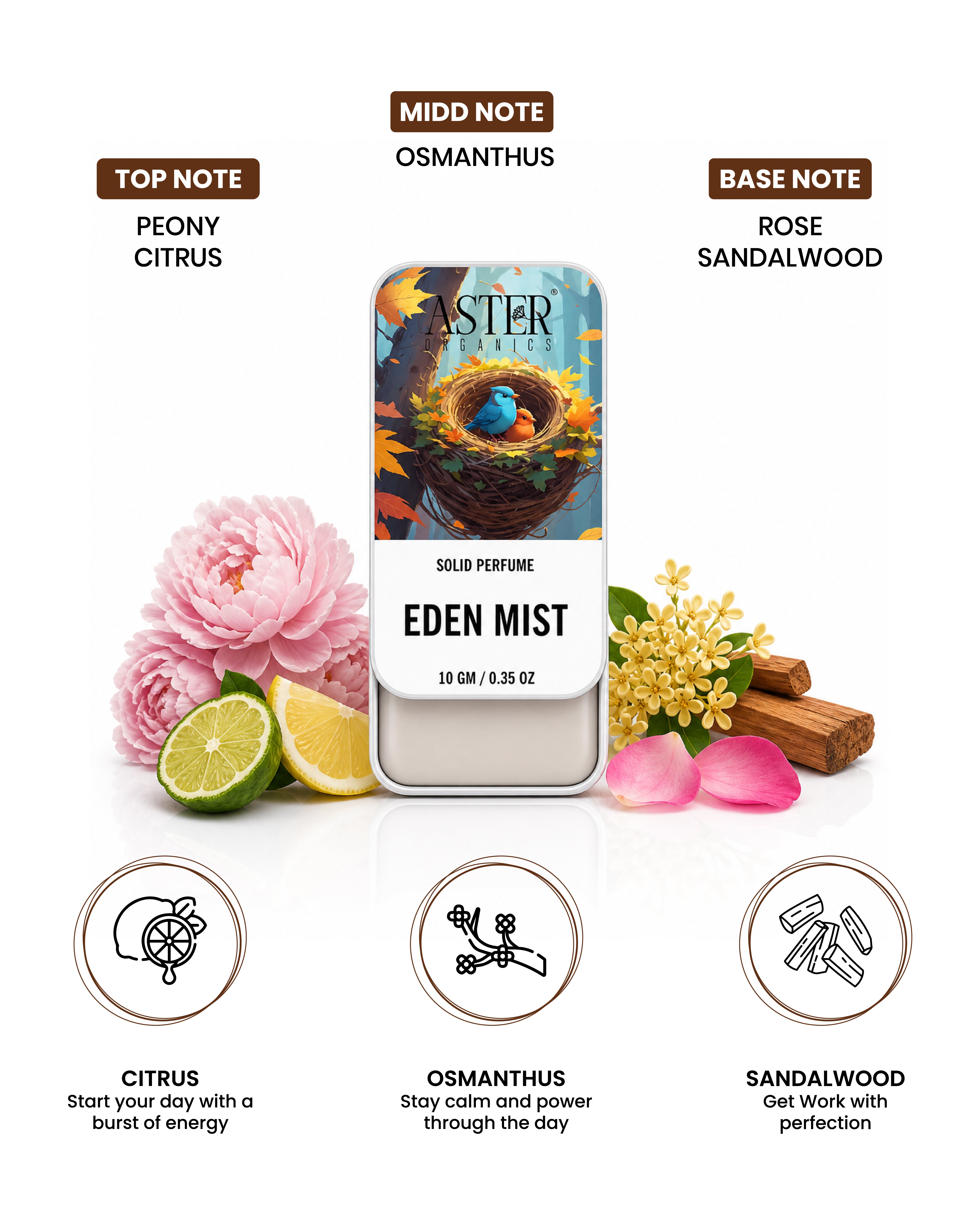 Eden Mist solid perfume for men, showing a sleek metal tin with the product name.