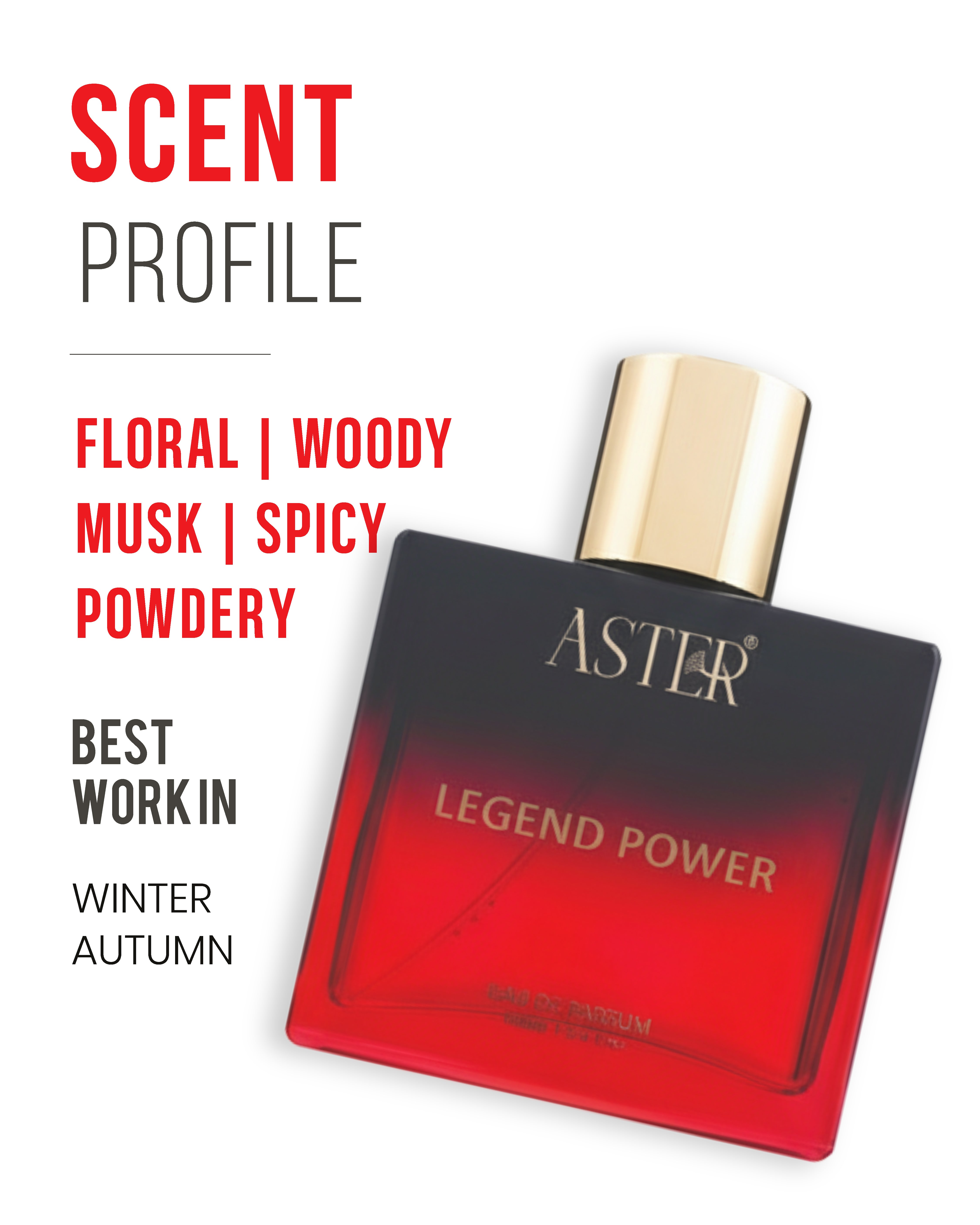 Legend Power EDP for Men 100ml bottle