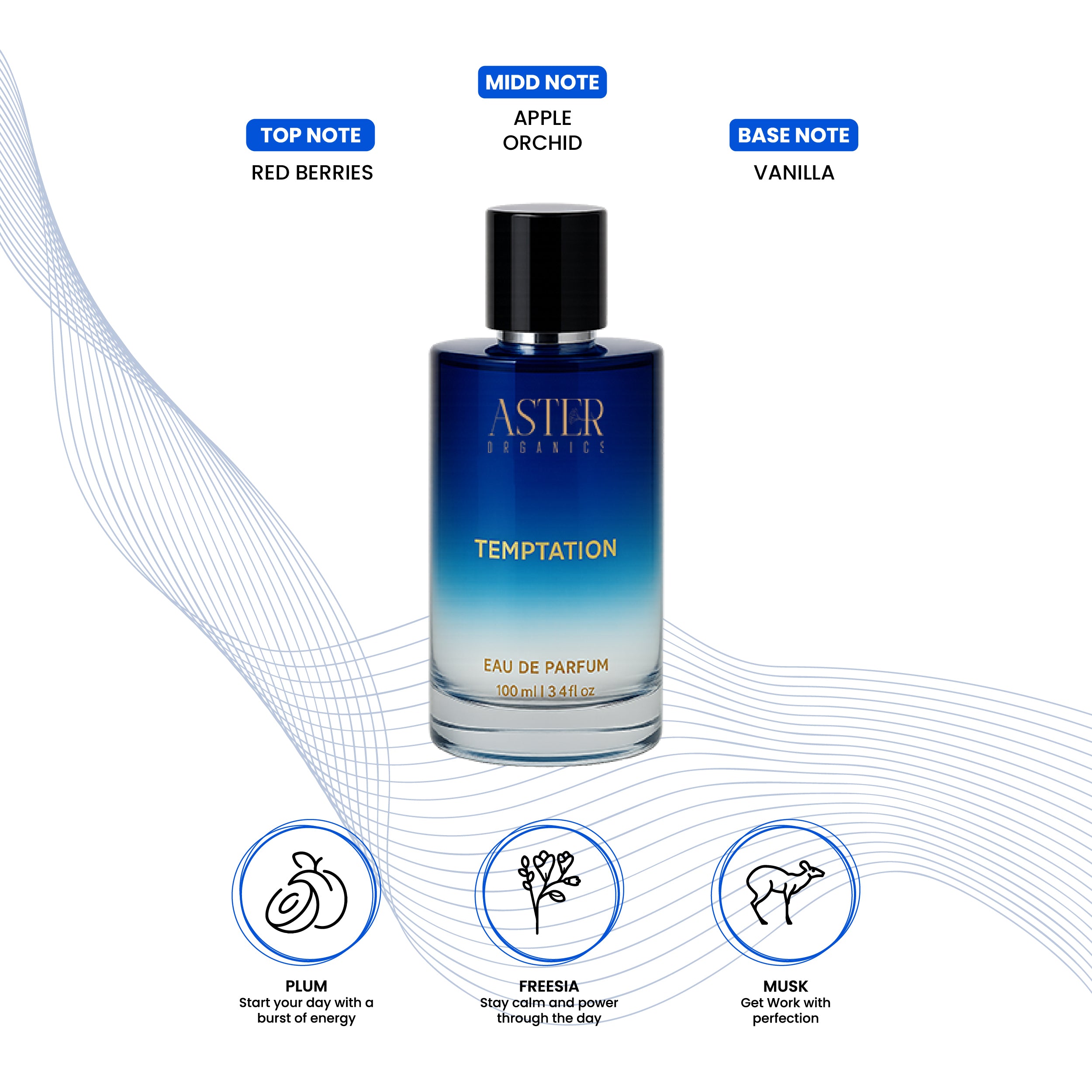 Temptation EDP for Unisex 100ml