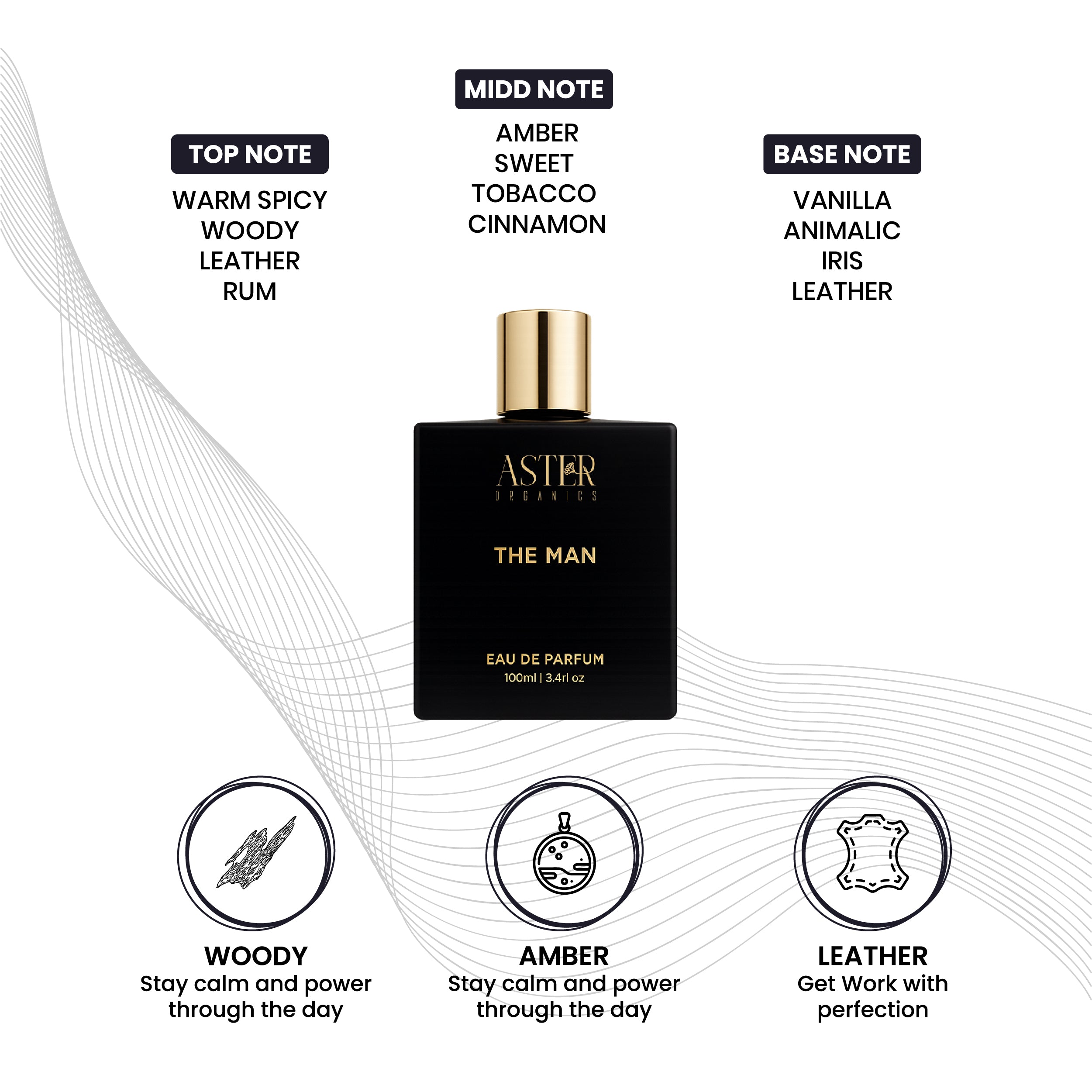The Man EDP for Men 100ml
