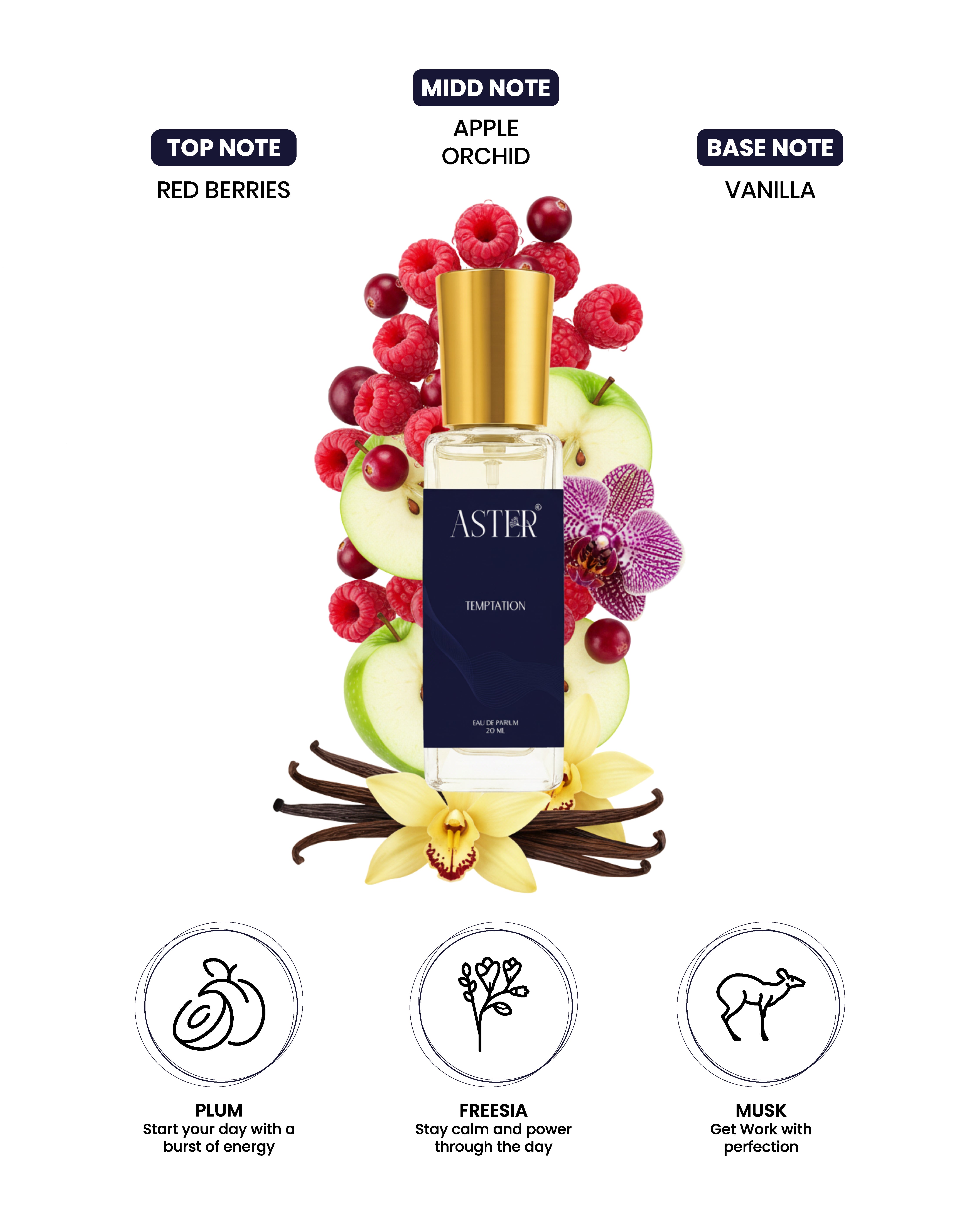 Temptation EDP for Unisex 20ml perfume bottle