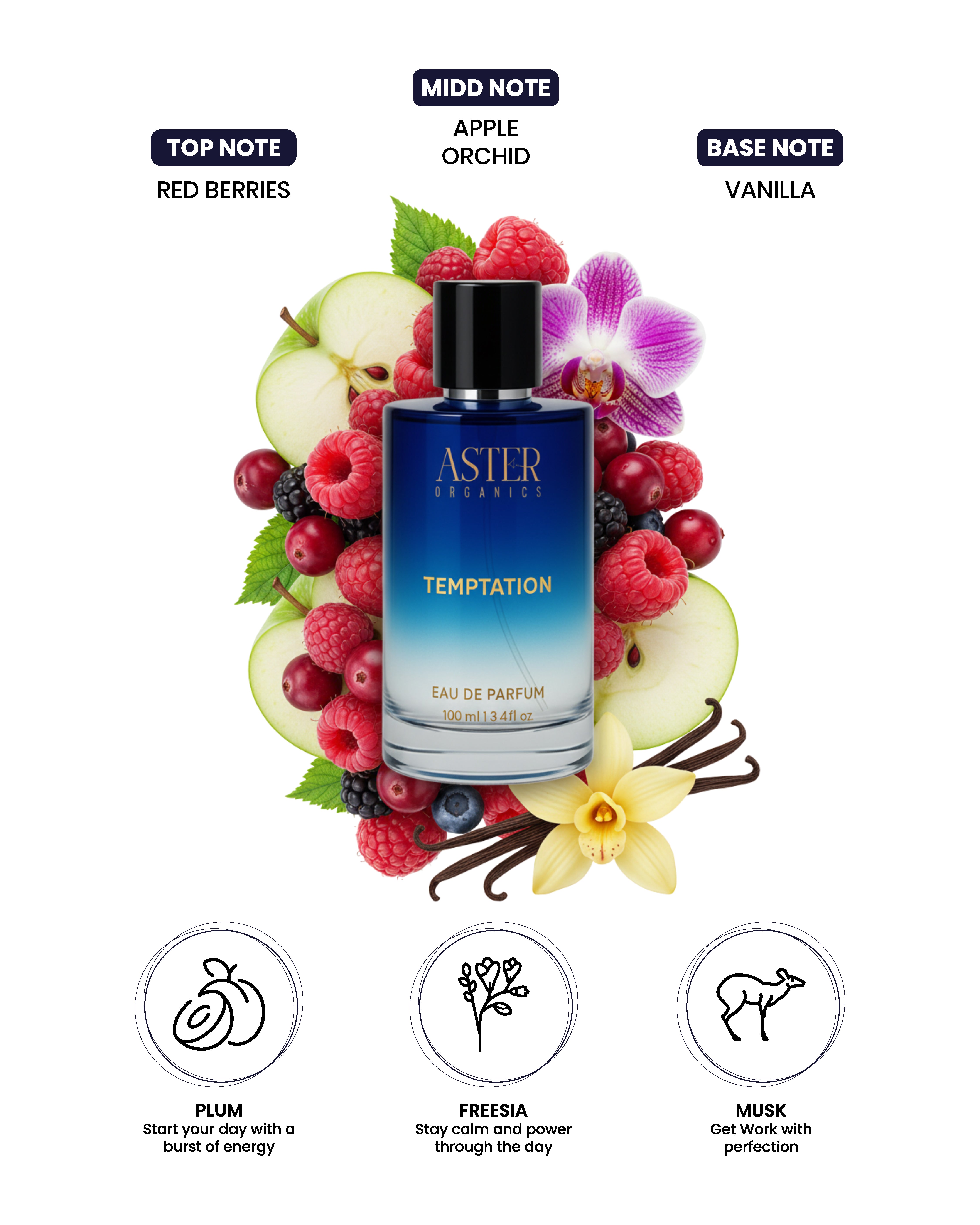 Temptation EDP for Unisex 100ml