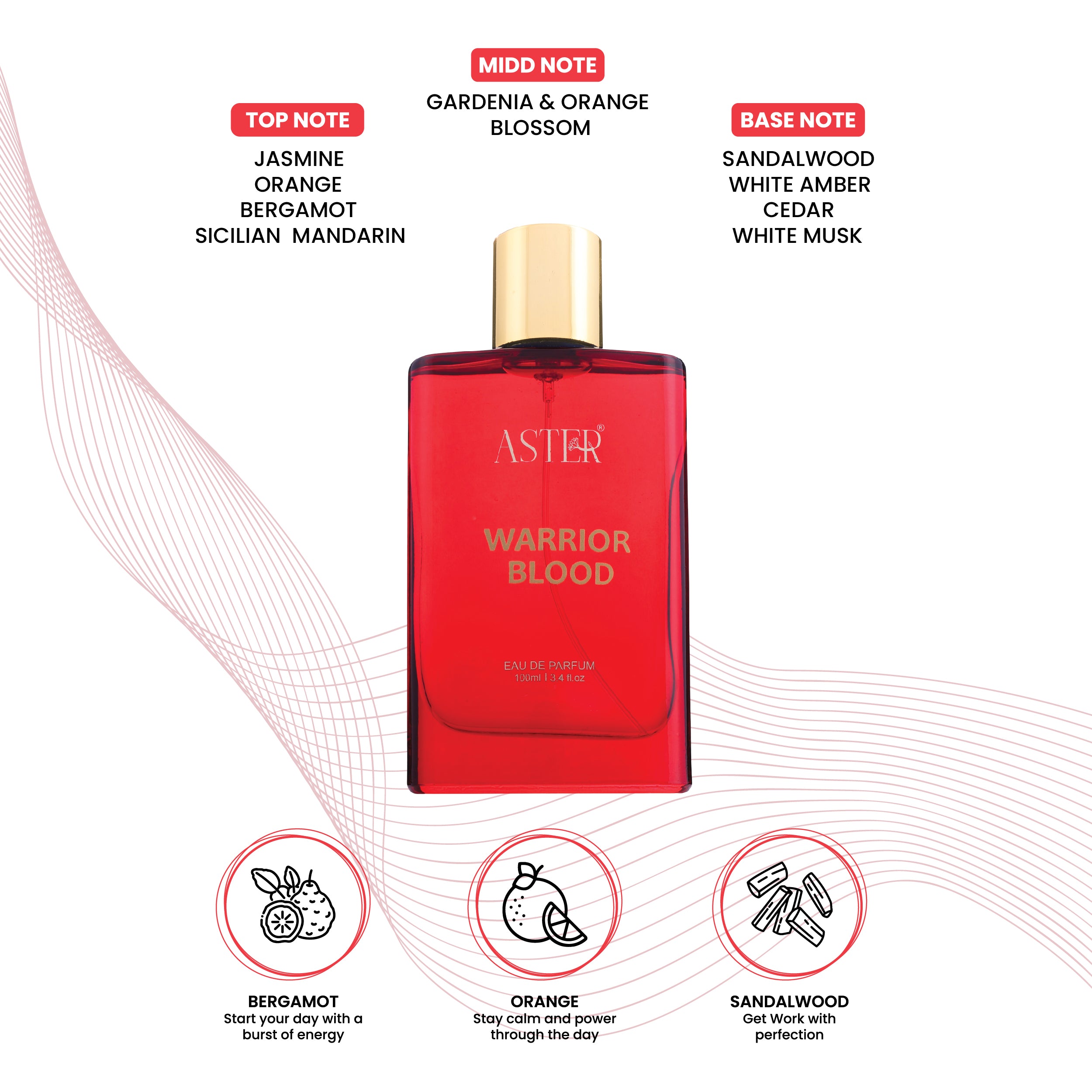 Warrior Blood EDP for Men 100ml