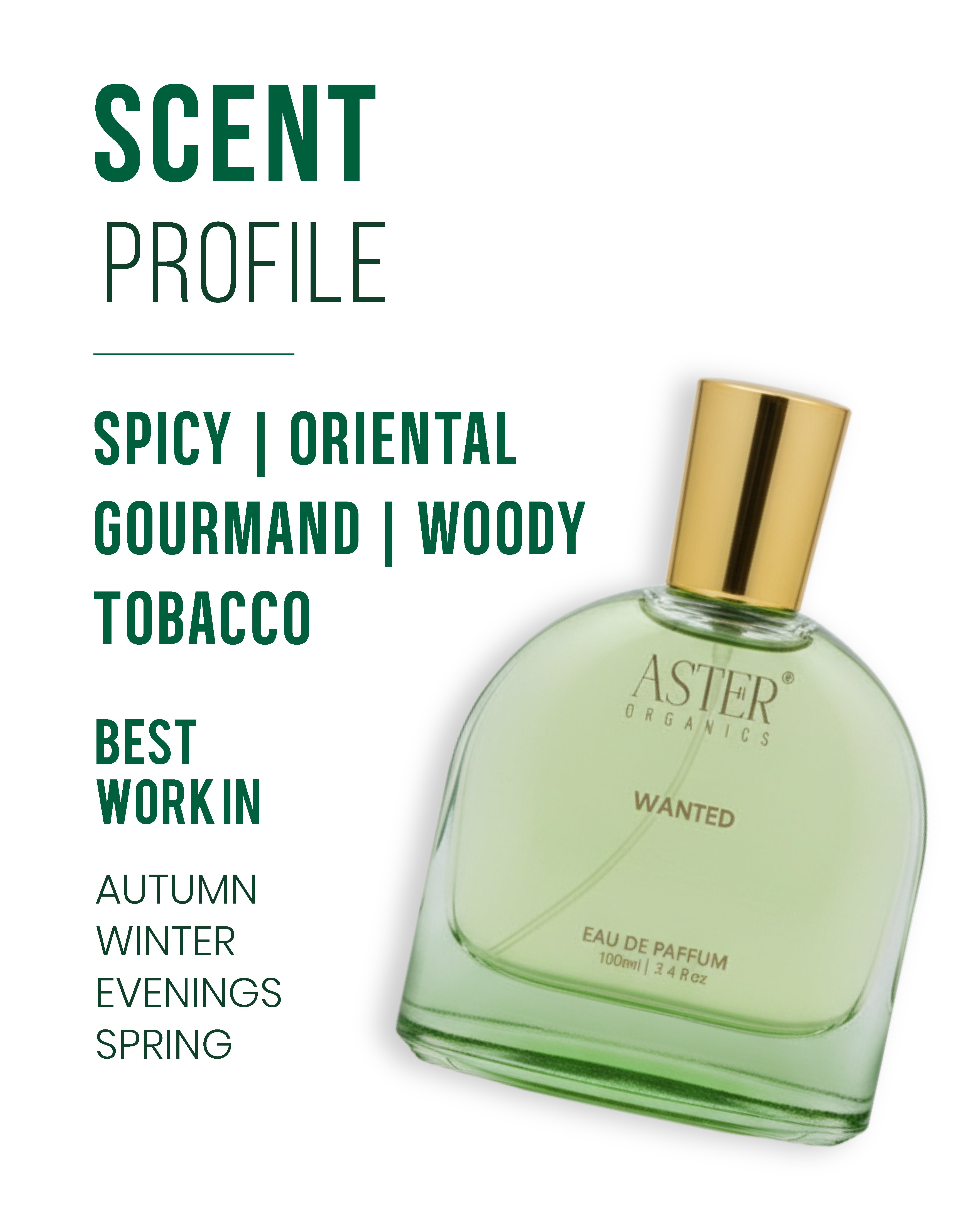 Wanted EDP for Unisex 100ml