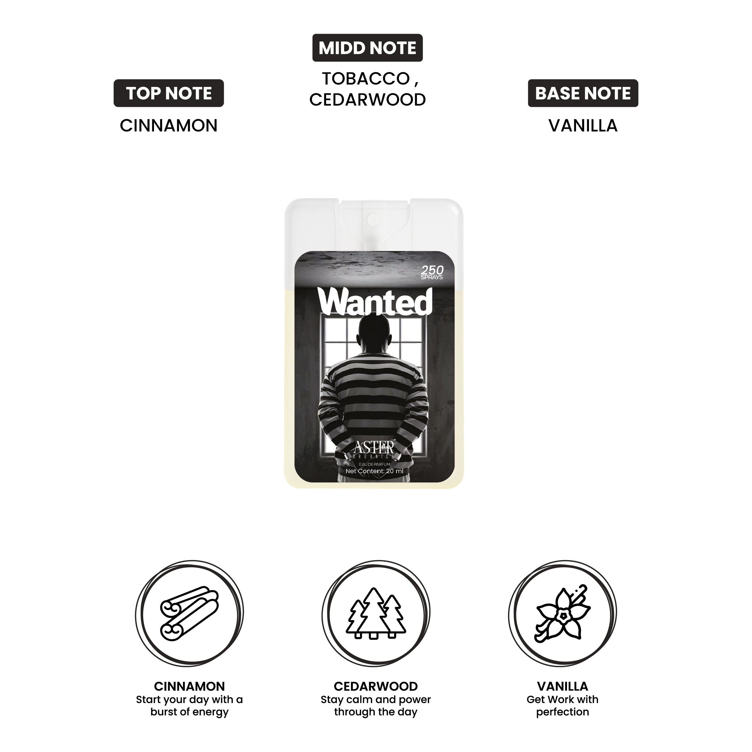Wanted Pocket Perfume for Unisex 20ml