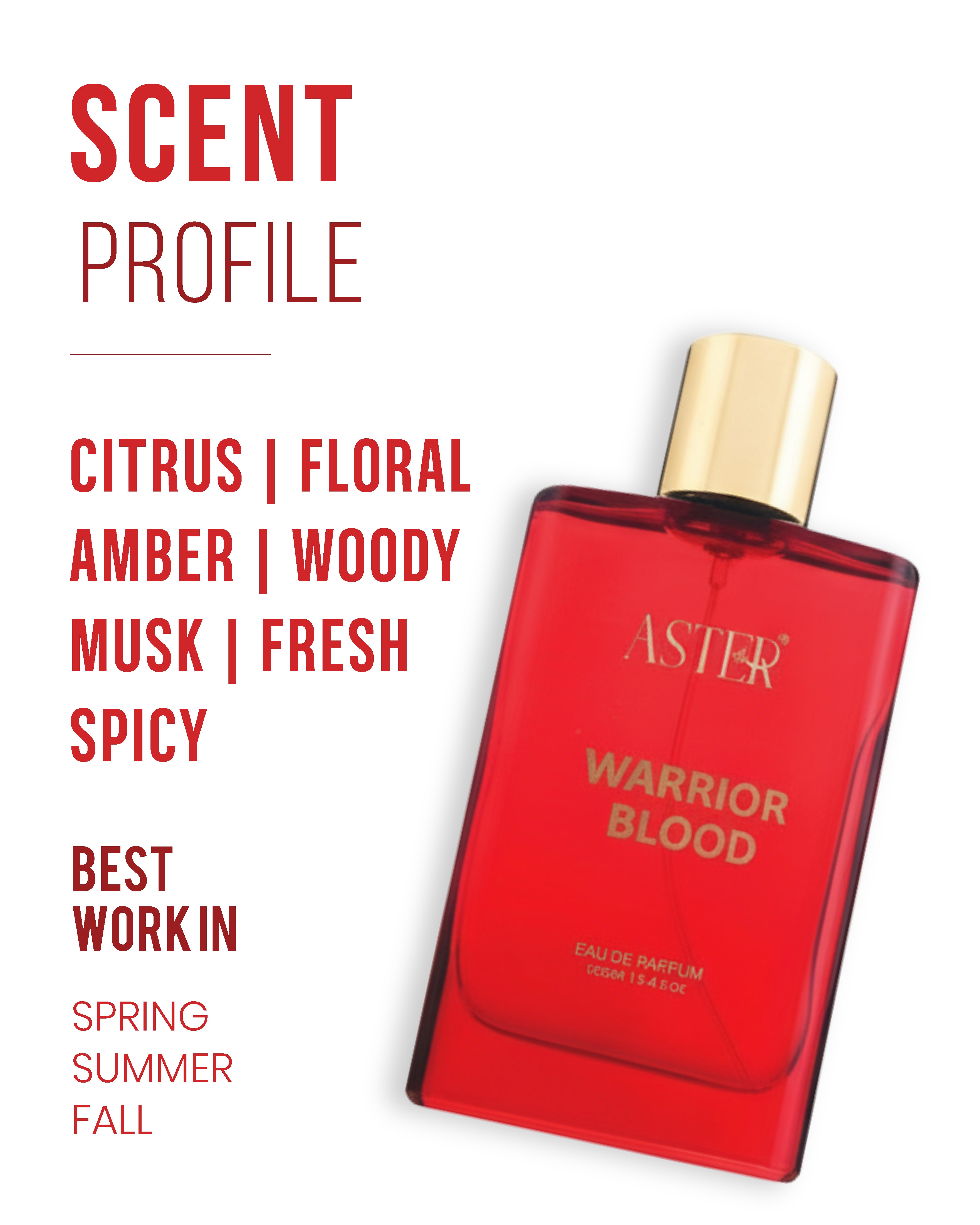 Warrior Blood EDP for Men 100ml bottle