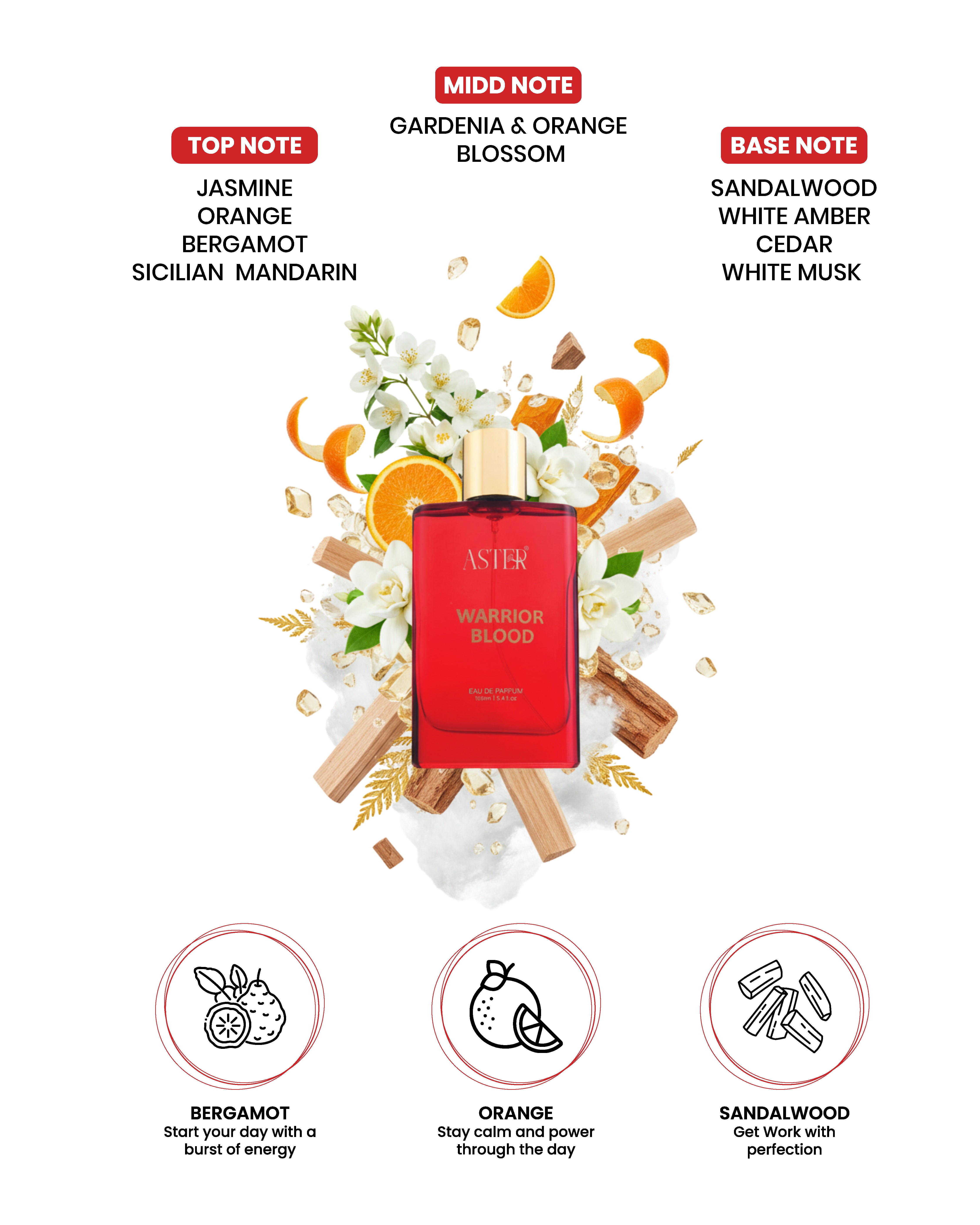 Warrior Blood EDP for Men 100ml fragrance bottle